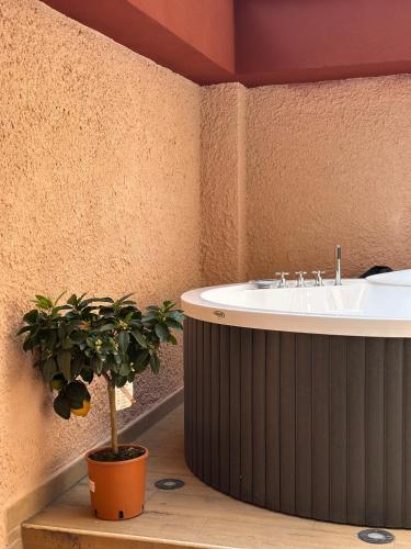 Domus Auri Vatican Boutique Stay