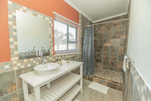 a bathroom with a sink and a shower at Accommodation on 3329 - Unit 3 in Gqeberha