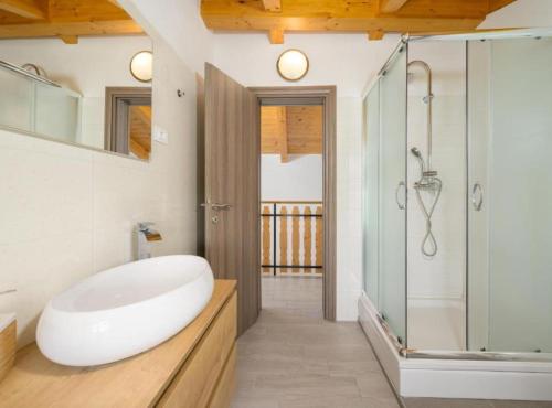 a bathroom with a white sink and a shower at Villa Prestige Azinetti with Pool in Štokovci