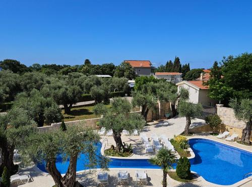 a resort with a swimming pool and chairs and trees at Villa Ponta in Kaluđerac
