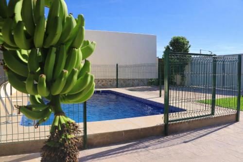 a bunch of bananas hanging from a fence next to a pool at Casa Lucia Conil in Conil de la Frontera