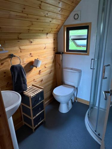 a small bathroom with a toilet and a sink at Squirrel's Drey in Torphichen
