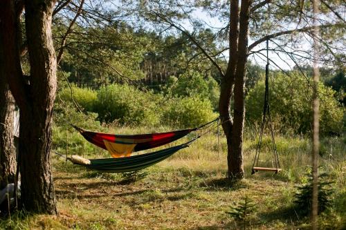 Przytulny dom w sosnowym lesie nad rzeką i jeziorem