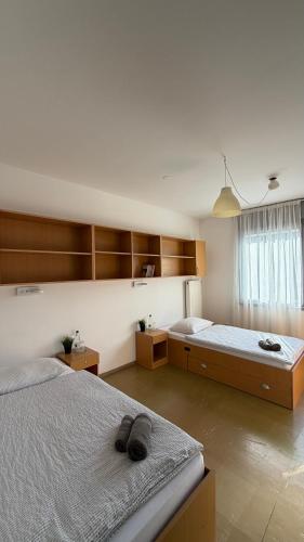 a large bedroom with two beds and a window at Hostel POINT Nova Gorica, Self Check-In with code access in Nova Gorica