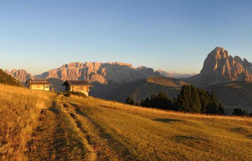 a house on a field with mountains in the background at Apartment Albert in Santa Cristina in Val Gardena