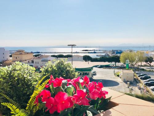 Global Immo 3394 Roc Mar 3-3-D