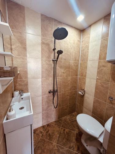 a bathroom with a shower with a toilet and a sink at Heaven's Home in Topola