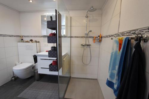 a bathroom with a shower and a toilet at Marienhof in Leibertingen