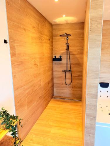 a walk in shower in a room with wood paneling at Le Loft des Crêtes in Dinant