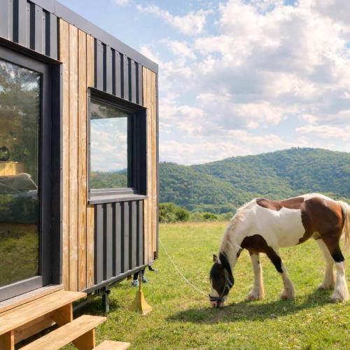 Homnest - Bosquet des Domes n2 - Puys a cheval