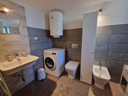 a bathroom with a toilet sink and a washing machine at Hiža Bepina in Marčana