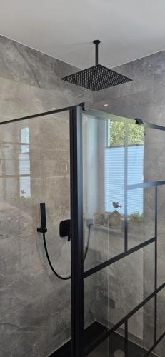 a shower with a glass door in a bathroom at Apartment nahe München A8 in Pfaffenhofen an der Glonn