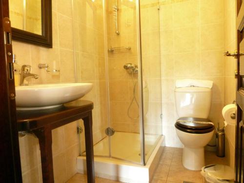 a bathroom with a toilet and a sink and a shower at Ξενώνας Αρχοντικό Πρεδάρη in Goura