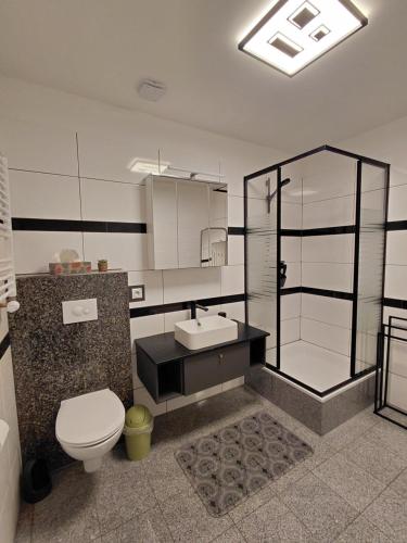 a bathroom with a toilet and a sink and a shower at Ferienwohnung CityImmo in Gotha