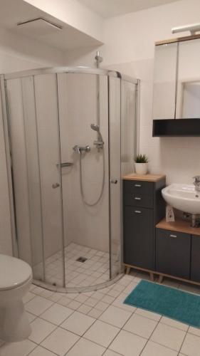 a bathroom with a shower and a toilet and a sink at Harz-Glück1 in Braunlage