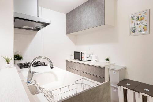 Skytree 4 mins walk!Airport Direct Access!New House