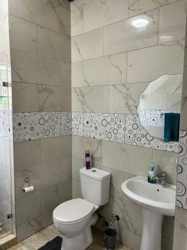 a bathroom with a toilet and a sink at Crompton Gardens 786 in Durban