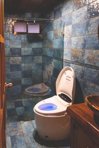 a bathroom with a toilet and a shower at Calle del Tigre Chalet in Sabana Redonda