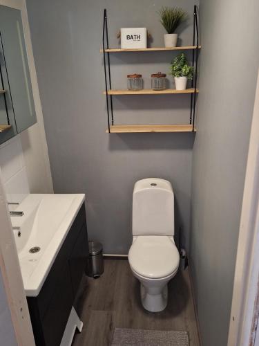 a bathroom with a toilet and a sink at MarrasVilla in Marrasjärvi