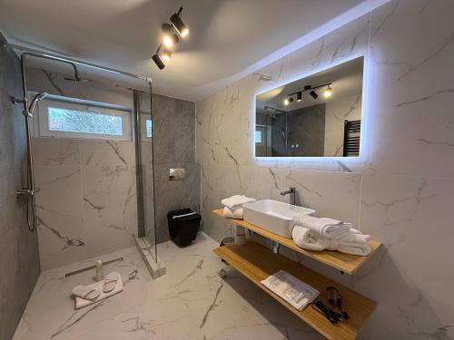 a bathroom with a sink and a shower and a mirror at Shiro Lodge in Predeal