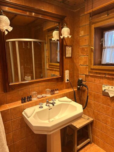 a bathroom with a sink and a mirror at Romantik Hotel U Raka in Prague