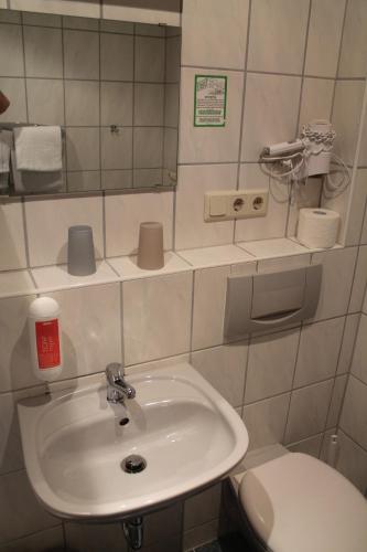 a bathroom with a sink and a toilet at Gasthaus Zur Sonne in Freiburg im Breisgau