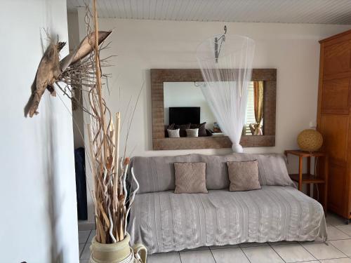 a living room with a gray couch and a mirror at Le chant du Diamant calme vue mer et plage à 50 m in Le Diamant