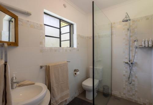 a bathroom with a toilet and a sink and a shower at The Maa Guest House in Talek
