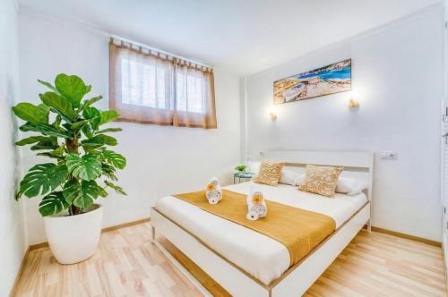 a bedroom with a bed and a potted plant at Ideal Property Mallorca - Bella Italia in Alcudia