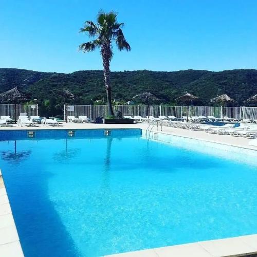 a blue swimming pool with a palm tree in the background at Camping 3 étoiles - Piscine - ccbfgbf in Collias