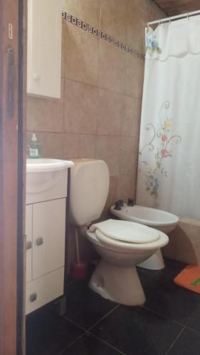 a bathroom with a toilet and a sink and a shower curtain at La Micha in Chascomús