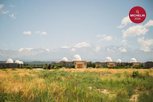 a group of domes in a field with mountains in the background at Chozos Resort in Agrelo
