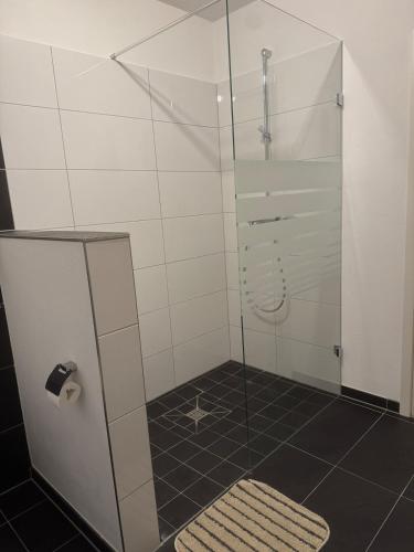 a shower with a glass door in a bathroom at Lingen Stay in Lingen
