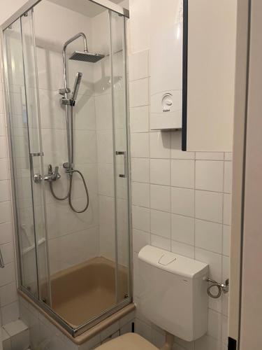 a bathroom with a glass shower with a toilet at Very nice, Central and fully Furnished Apartment in Bonn