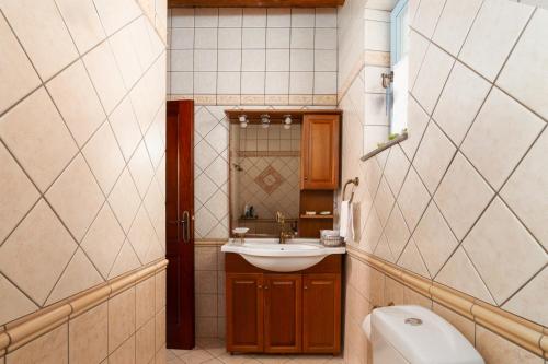 a small bathroom with a sink and a toilet at villa eirini in Kourélion