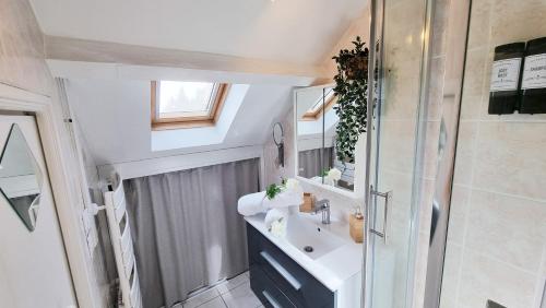 a bathroom with a sink and a shower at Duplex 4pers Calme Parking - Proche Gare & Rocade in Fleury-les-Aubrais