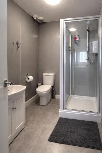 a bathroom with a shower and a toilet and a sink at The Roslyn Guest House in Paignton