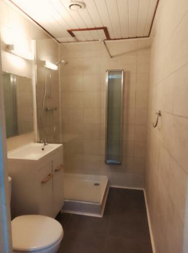 a bathroom with a toilet and a sink and a shower at Printemps Quatre Saisons in Bergerac