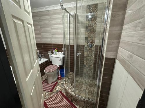 a bathroom with a shower and a toilet at Cactus Village in Blantyre