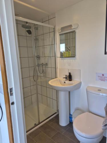 a bathroom with a shower and a sink and a toilet at Lampay Chalets in Dunvegan