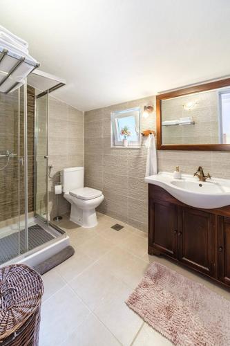 a bathroom with a sink and a toilet and a shower at Beachfront House Mir Brač near Supetar with pool and jacuzzi in Mirce