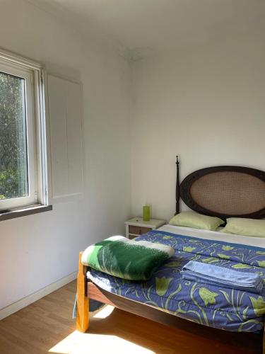 a bedroom with a bed and a window at Casa do Pinhal in Moledo