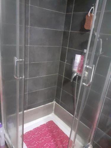 a shower with a glass door and a pink rug at Refúgio da Estrela Room in Covilhã
