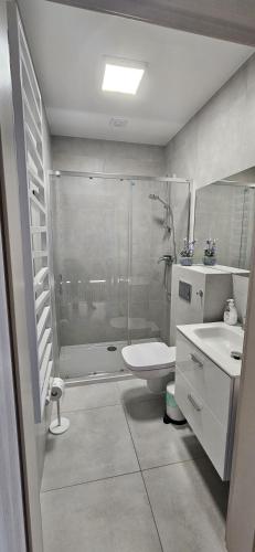 a bathroom with a shower and a toilet and a sink at Aprum Apartments 10C in Pobierowo