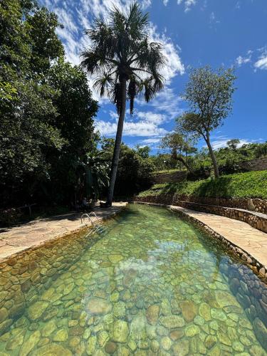 a pool of water with a palm tree in the background at Pousada Rio das Almas in Pirenópolis