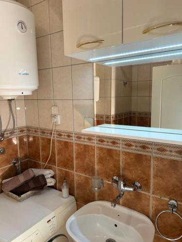 een badkamer met een wastafel en een spiegel bij Studio Nina in Novi Sad