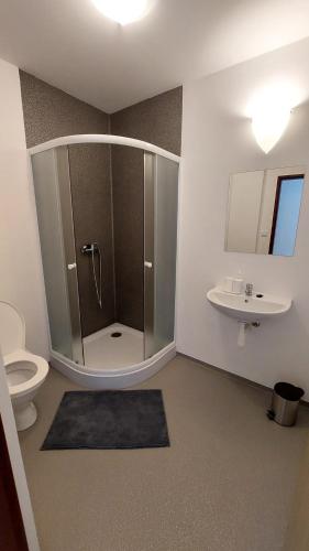 a bathroom with a shower and a toilet and a sink at apartmán Monte Lope in Bystřice pod Lopeníkem