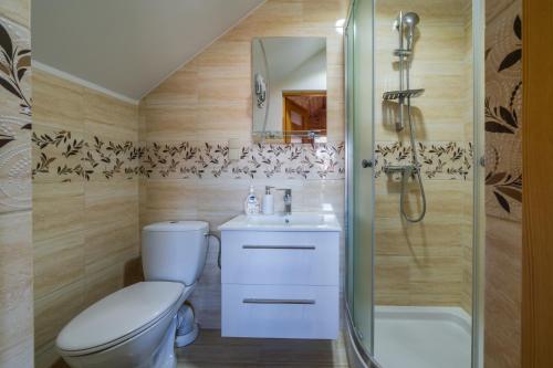 a bathroom with a toilet and a shower and a sink at Chata u Szymczaka in Łopuszna