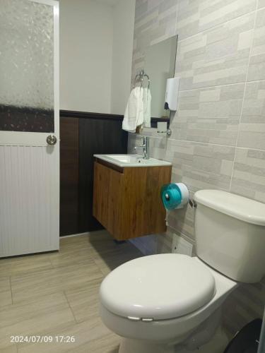 a bathroom with a white toilet and a sink at Hotel Perla Dorada in San Miguel