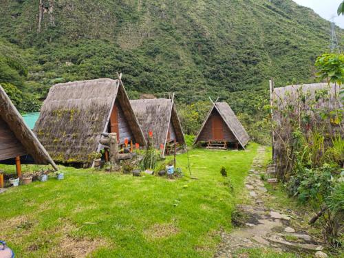 a group of huts in a field with a mountain at Hay & Mountain Huts in Colcapampa